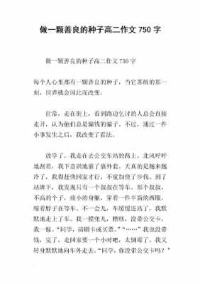 短文阅读善良的种子（课外阅读善良的种子的主要内容）-图1