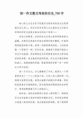 阅读短文母亲的目光（母亲的目光你有什么感悟）-图2