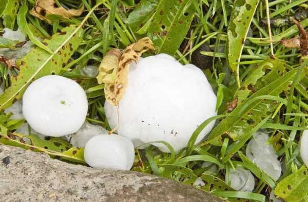 夏天冰雹小短文（夏天的冰雹是怎么回事）-图2