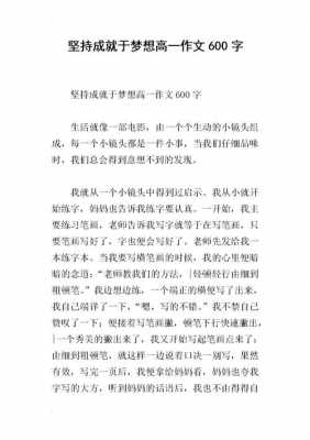 关于坚持梦想的短文（关于坚持梦想的材料作文）-图3