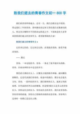 我们失去的青春短文（我们失去的青春短文摘抄）-图1