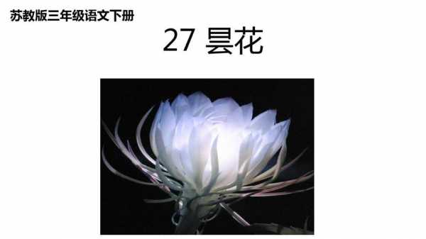 短文《昙花》（昙花的阅读答案）-图1