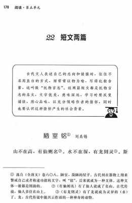 有关标签的短文（有关标签的短文怎么写）-图3