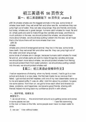 英语短文作文呗（英文作文短文）-图3