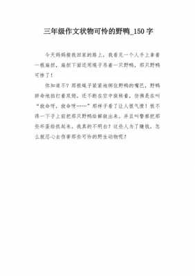 关于野鸭的短文（关于野鸭的作文）-图2