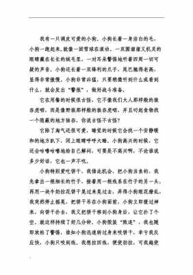 短文可爱的小狗（短文可爱的小狗作文）-图1