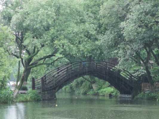 雨中景色短文（雨中景致短文150字）-图1