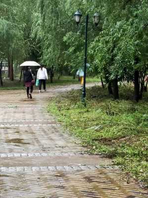 雨中景色短文（雨中景致短文150字）-图2