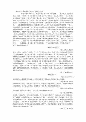 蜡烛的启示阅读短文（蜡烛这个故事告诉我们什么道理）-图3