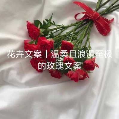 关于鲜花的唯美短文（关于鲜花的唯美文案）-图1