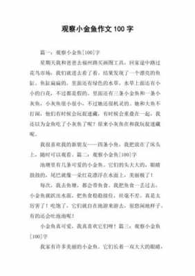 观察小金鱼短文（观察小金鱼短文三年级）-图2