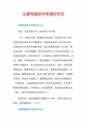 我的父爱短文（我的父爱母爱的作文）-图1