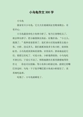 放生小乌龟短文（放生小乌龟作文300字）-图3