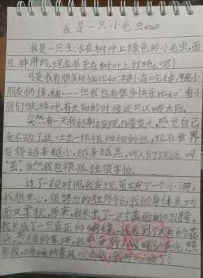 关于小毛虫短文（小毛虫短文主要写什么）-图3