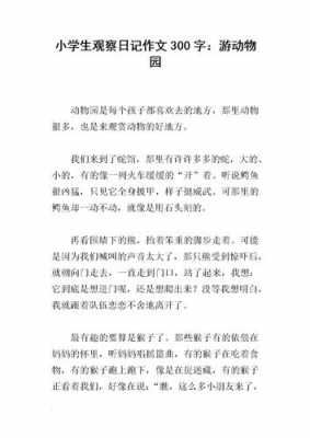 南通动物园短文（南通动物园日记）-图2