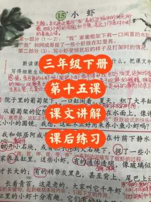 小学短文戏蟹（小学语文戏剧的课文）-图3