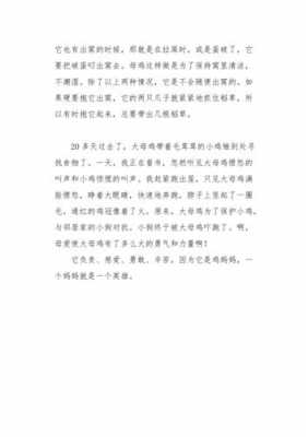 短文母鸡表达的感情（母鸡表达了作者怎样的情感）-图2