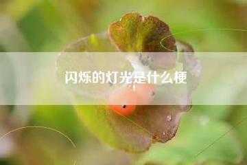 短文闪光的灯花（闪烁的灯光指的是什么）-图2