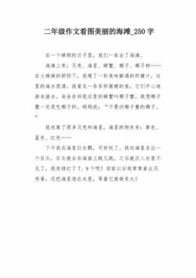 阅读短文海滩（二年级海滩上的字阅读答案）-图2