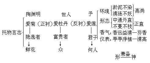 短文的结构方式有哪些（文章的结构方式6种）-图2