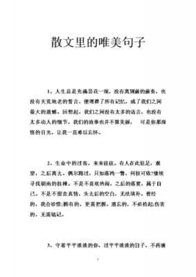 精美短文网（短文学网唯美句子）-图3