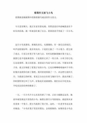 关于放鸟短文（关于放鸟短文怎么写）-图3