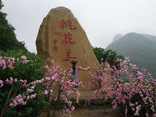 桃花岛阅读短文（桃花岛特点）-图3