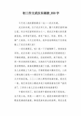 武汉短文100字（关于武汉的优美文章）-图1