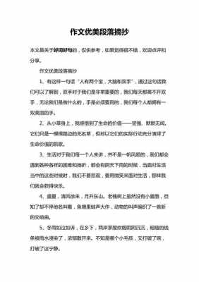 作文短文摘抄（作文短文摘抄300字）-图3