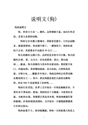 阅读短文狗（阅读理解 狗）-图2