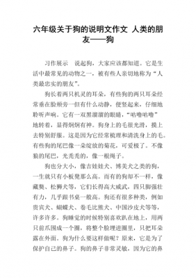 阅读短文狗（阅读理解 狗）-图1