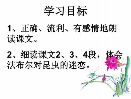 短文装满昆虫的口袋（装满昆虫的口袋这篇文章告诉我们要什么）-图2