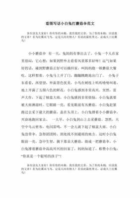 兔子和蝴蝶的短文（小兔子和小蝴蝶的故事）-图3