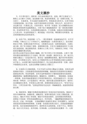 最美短文摘抄（最美短文精选）-图1