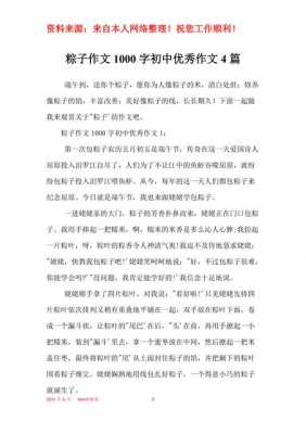 粽子方面的短文（粽子的优秀作文）-图1