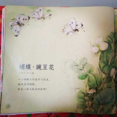 豌豆花阅读短文（短文中描写豌豆花的样子是什么）-图3