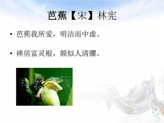 芭蕉短文的所有答案（芭蕉短文问题答案）-图1