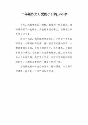 小白鸽短文（小白鸽作文300字二年级）-图1