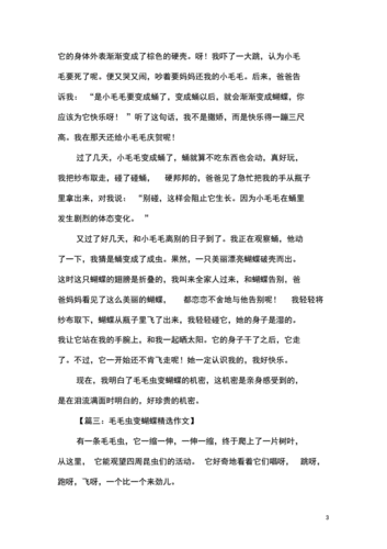 小毛虫变蝴蝶短文（小毛虫变蝴蝶短文怎么写）-图2