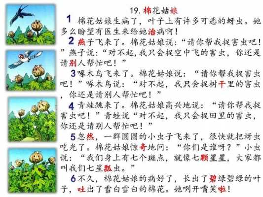 短文棉花棉花（短文棉花的阅读答案）-图1