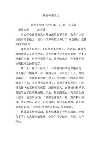 老师教我种菜小短文（老师带我们去种菜作文怎么写）-图1