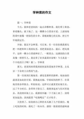 老师教我种菜小短文（老师带我们去种菜作文怎么写）-图3