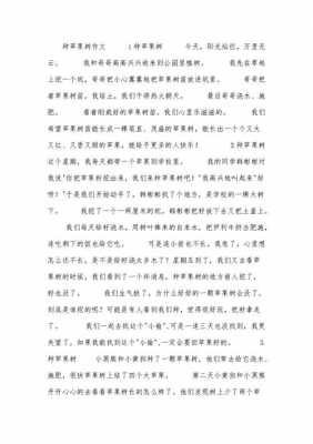 种苹果树短文（种苹果作文600字作文）-图1