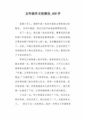 收稻谷的短文（收稻谷的文章）-图3