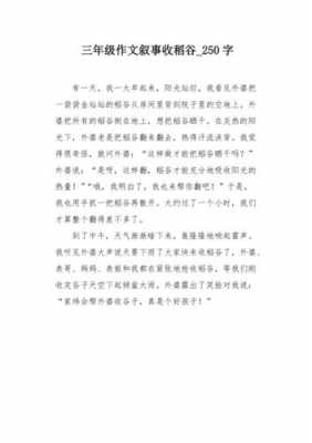 收稻谷的短文（收稻谷的文章）-图2