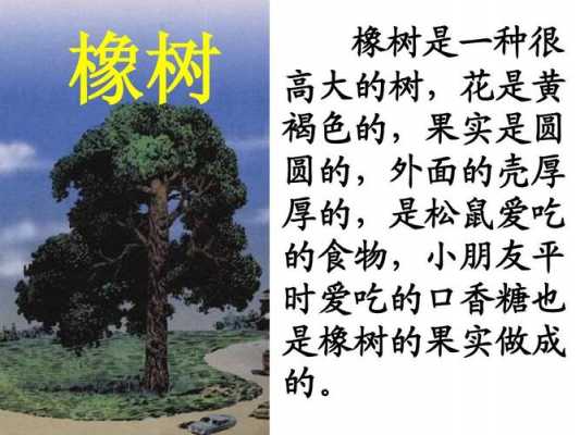 橡树短文（橡树短文中居高临下的意思）-图1