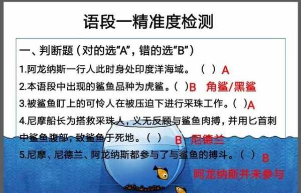 船长短文答案（船长阅读短文答案全文）-图3