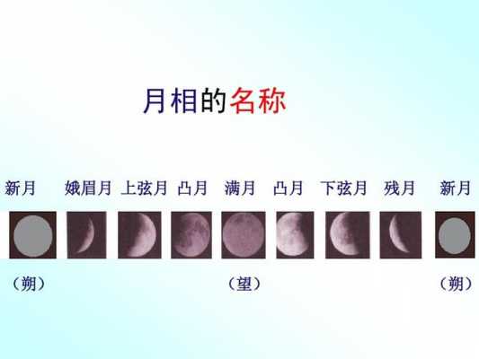 新月短文（新月的阅读答案）-图3