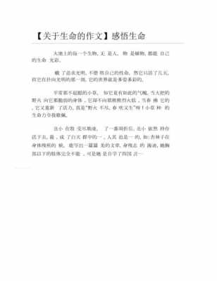 生存的短文（关于生存的唯美句子）-图2