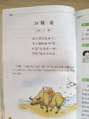 古诗牧童的短文300的简单介绍-图1